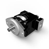 Cast Iron Pumps - PGP330 Series